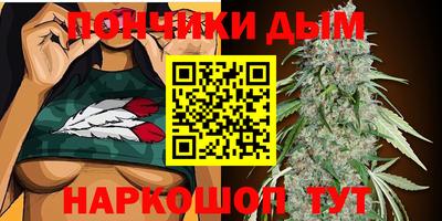 Альфа ПВП Канаш