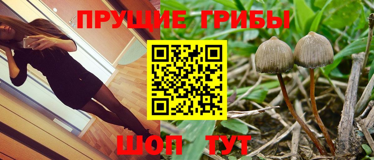 Галлюциногенные грибы MAGIC MUSHROOMS Жигулёвск