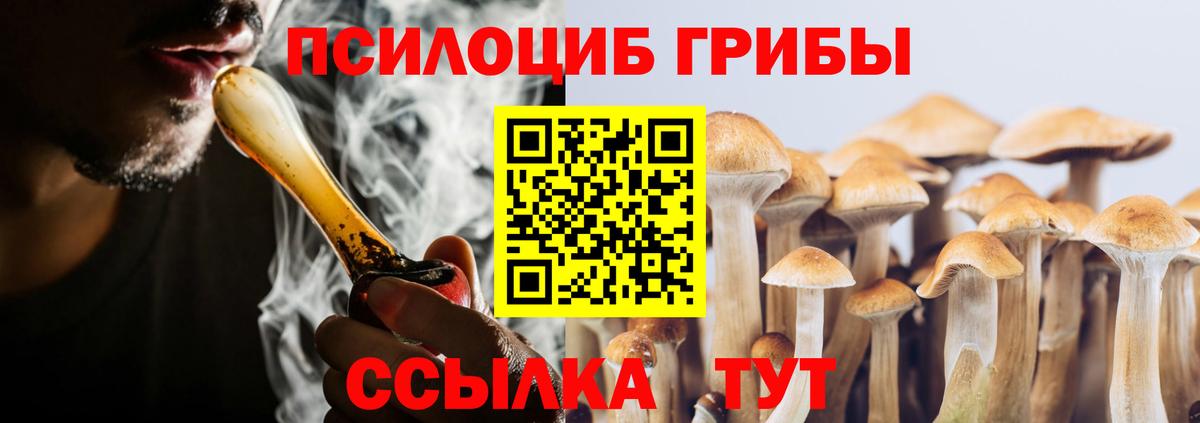 наркота  Галлюциногенные грибы MAGIC MUSHROOMS  Вход с VPN  Жигулёвск 